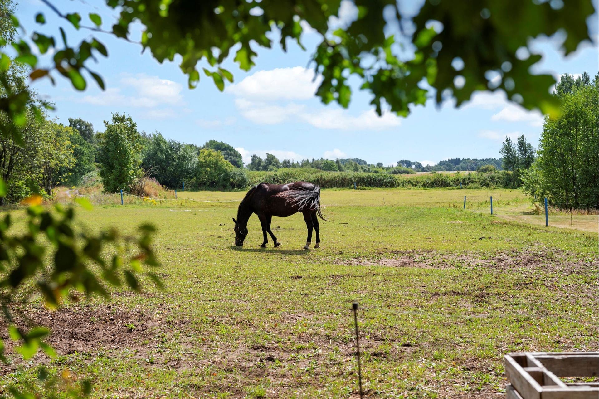 Lystejendom med hestestald og beskyttet natur ved Nørre Snede — billede 8