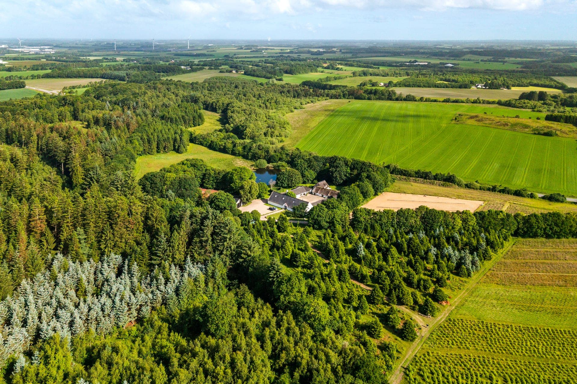 Holdflod – firlænget gård med skov, sø og eng — billede 8
