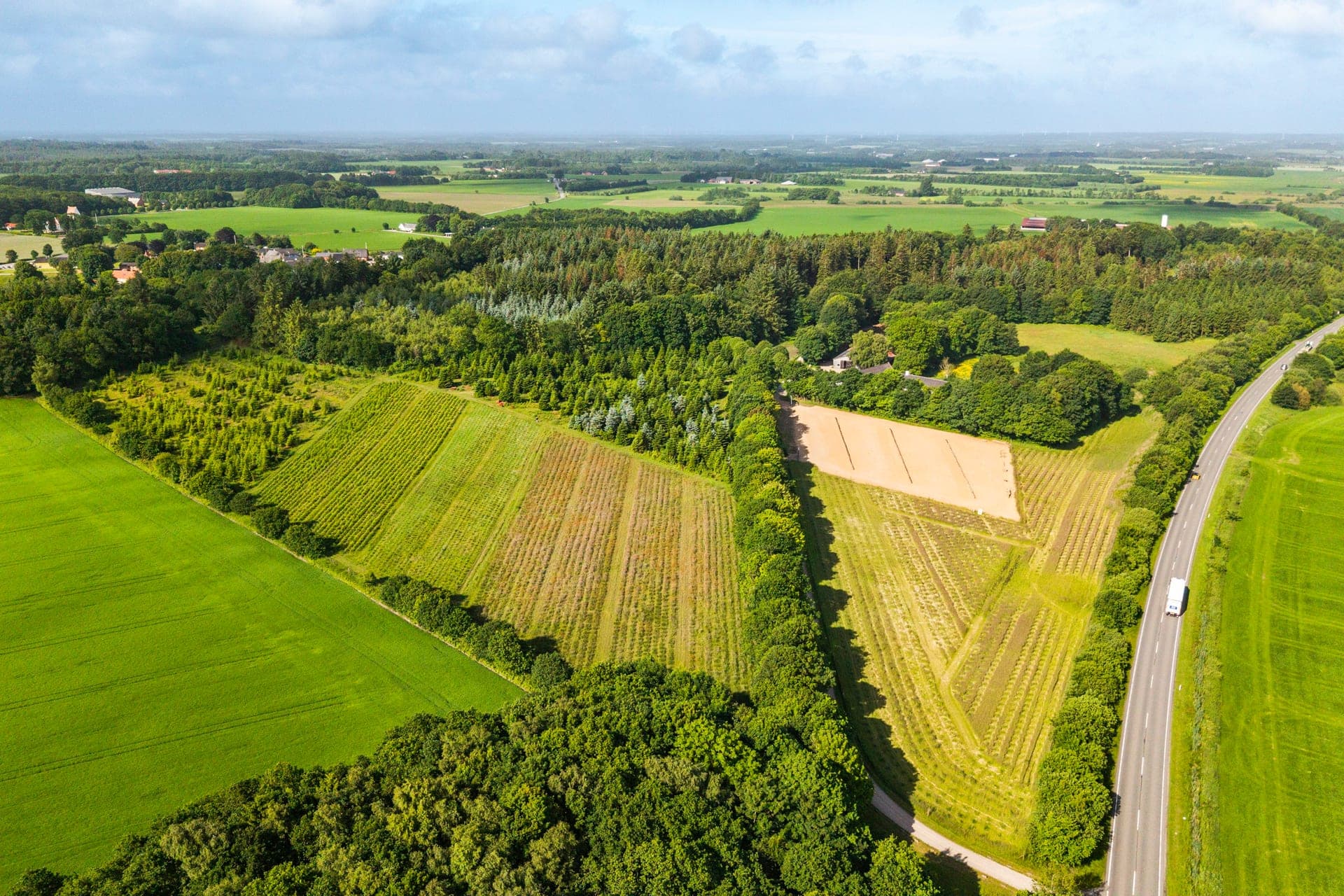 Holdflod – firlænget gård med skov, sø og eng — billede 9