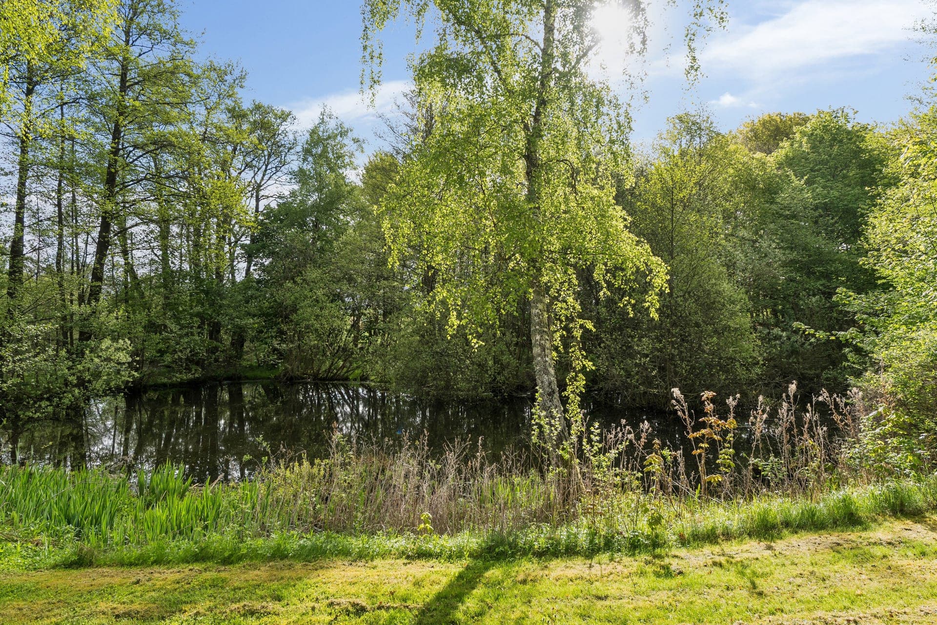 Landejendom med skov og hestefolde ved Ålsgårde — billede 10