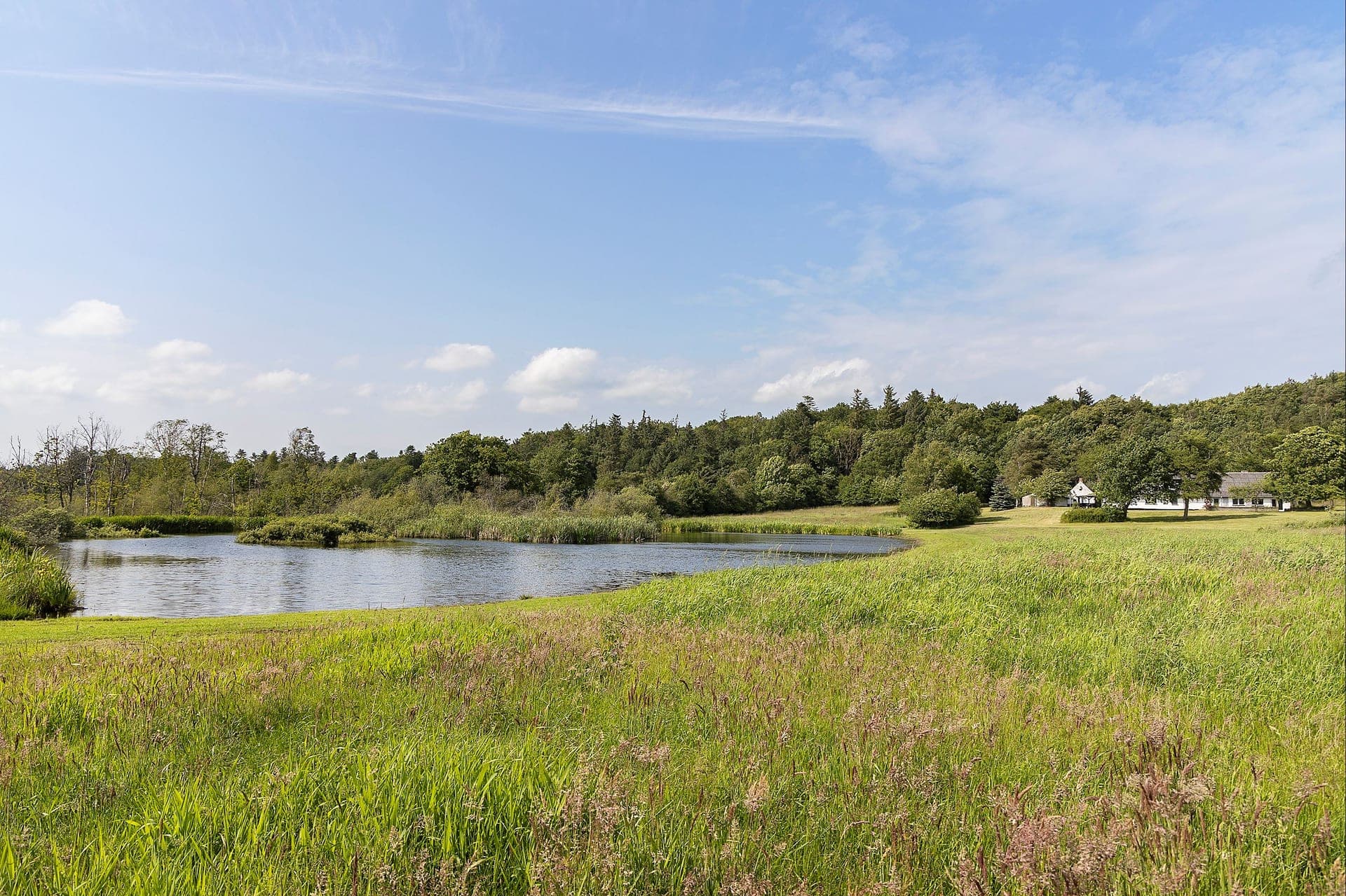 Landejendom med egen sø og skov, 5 km fra Voerså — billede 9