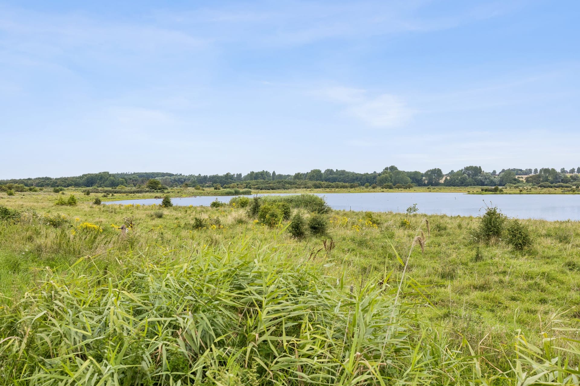 Landejendom med strandlinje på nordvestlige Ærø — billede 10