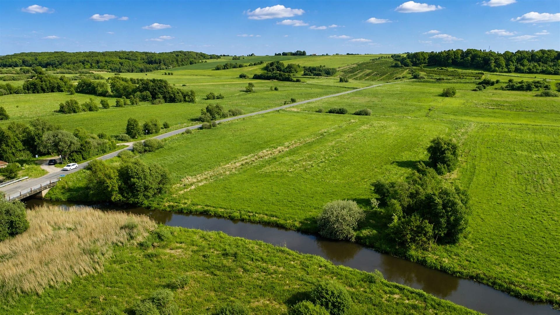 Lystejendom op ad Fussingø Skov med 15 ha — billede 5