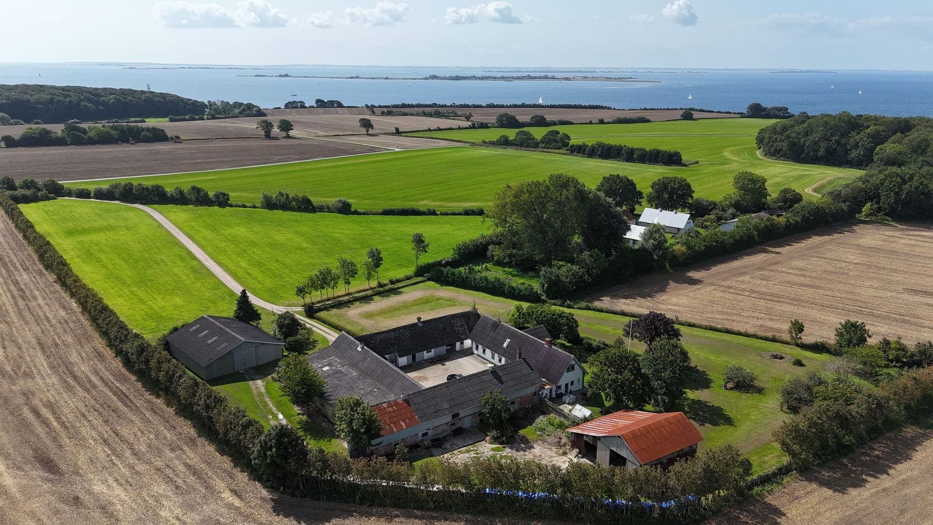 Skovvang tæt på skov og strand ved Svendborg — billede 4