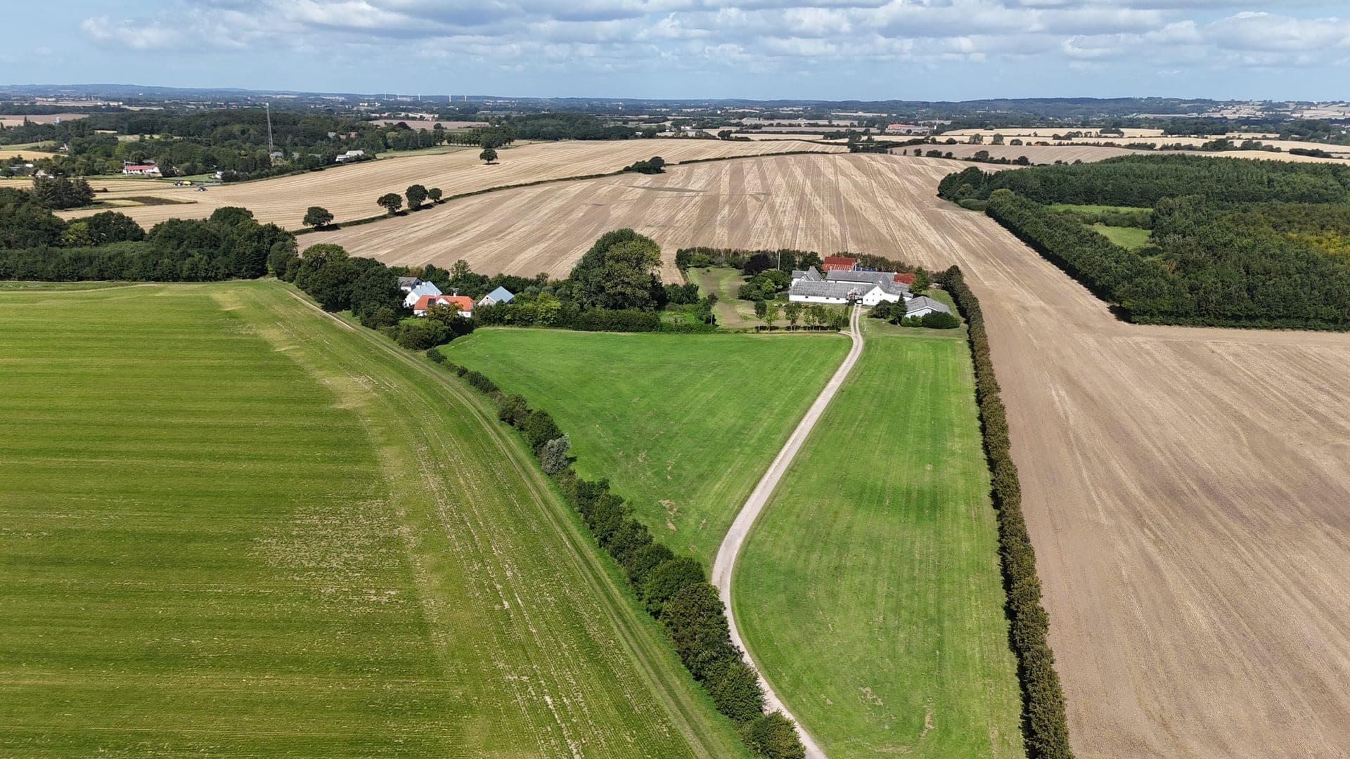 Skovvang tæt på skov og strand ved Svendborg — billede 5