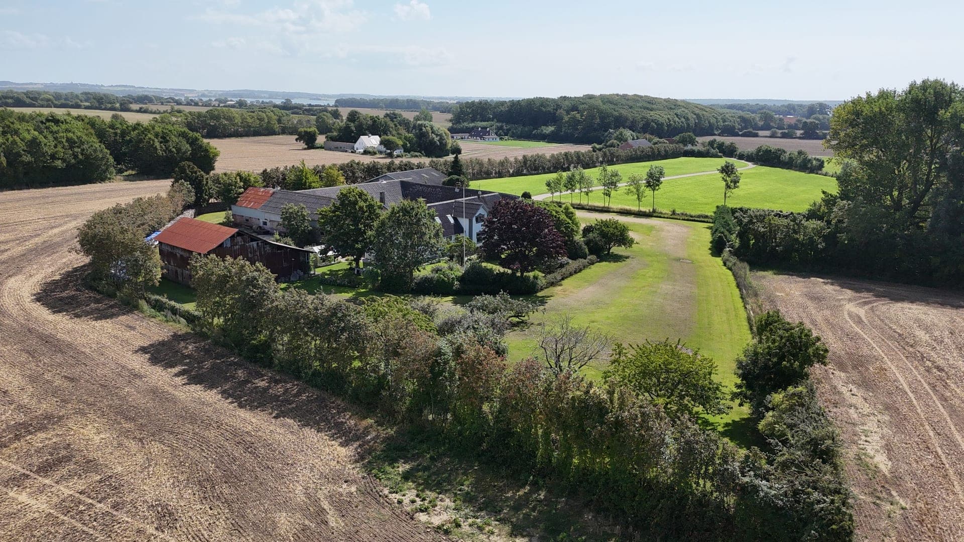 Skovvang tæt på skov og strand ved Svendborg — billede 6