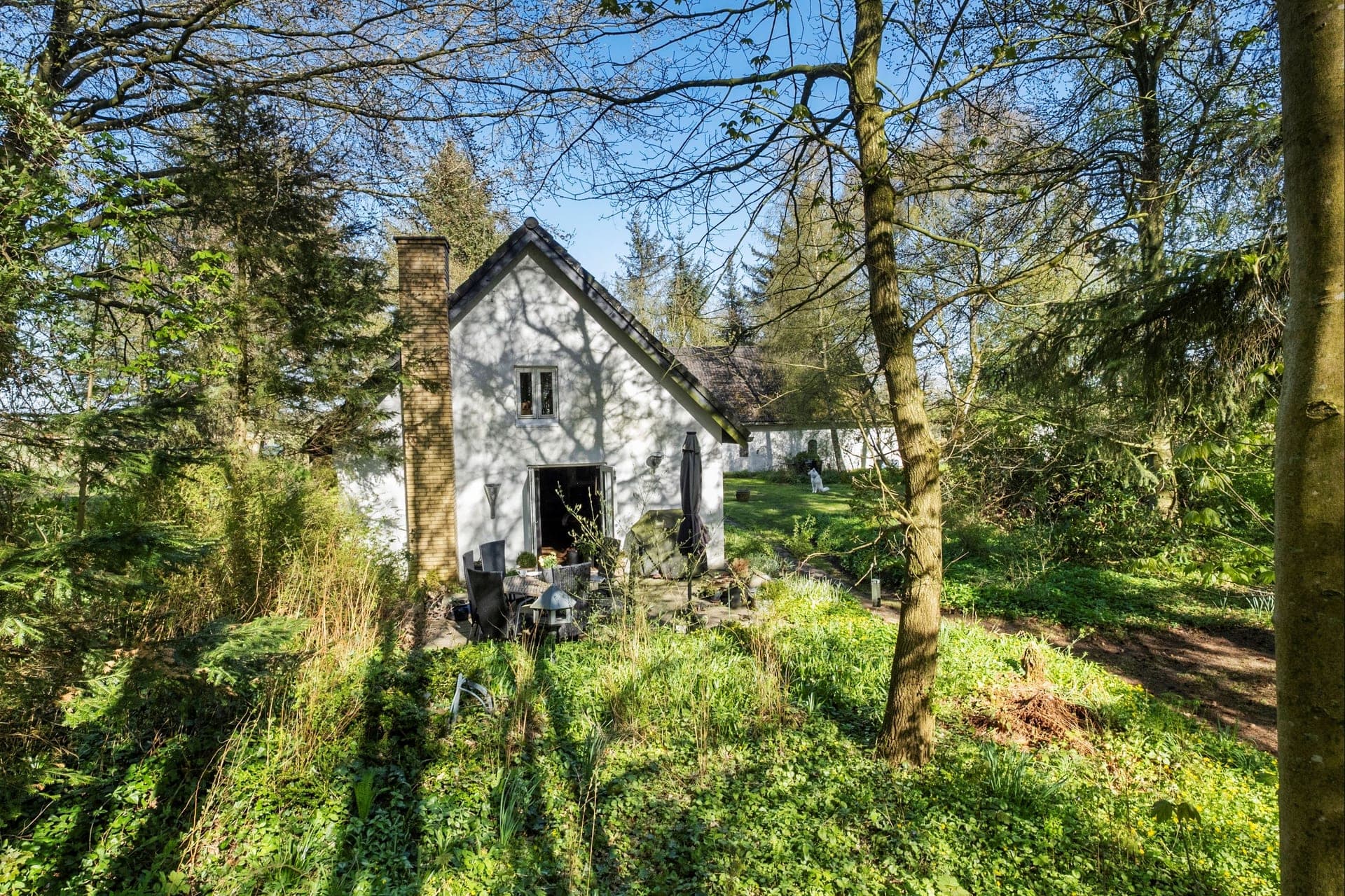 Landsted med egen sø og skov ved Brovst — billede 11