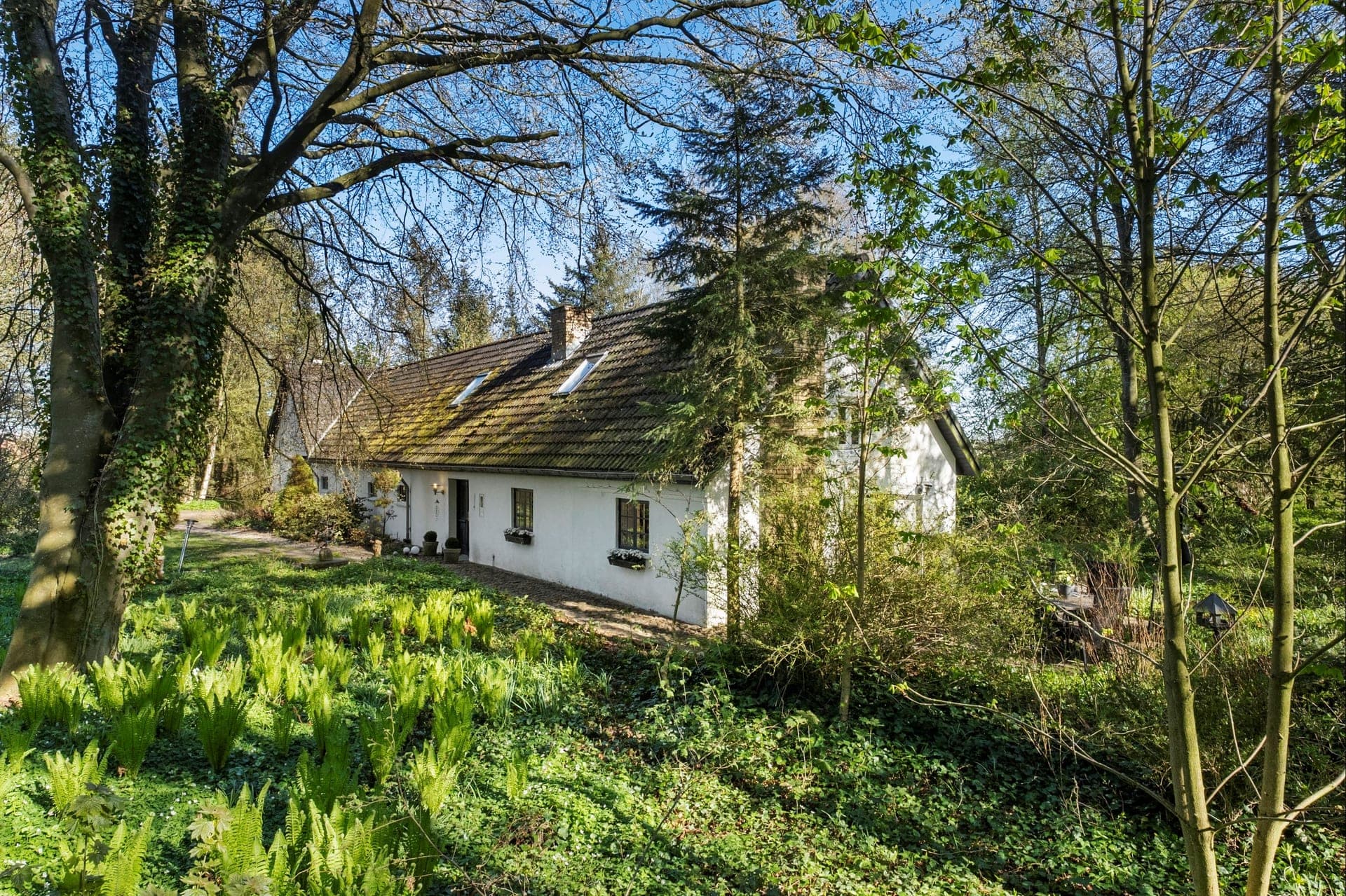 Landsted med egen sø og skov ved Brovst — billede 12