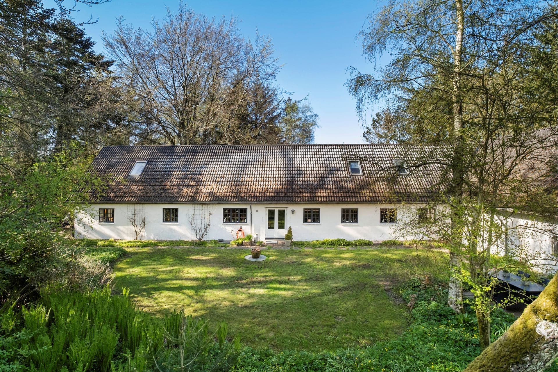 Landsted med egen sø og skov ved Brovst — billede 5