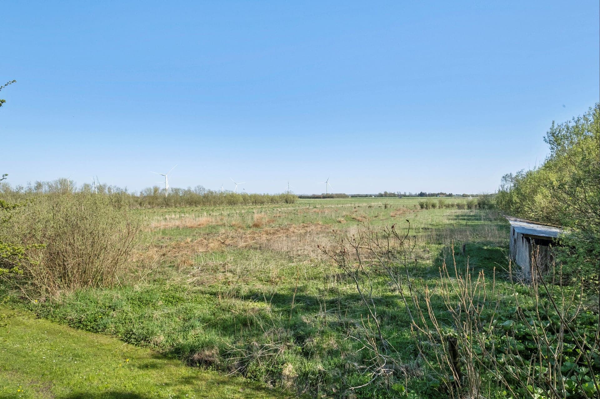 Landsted med egen sø og skov ved Brovst — billede 8