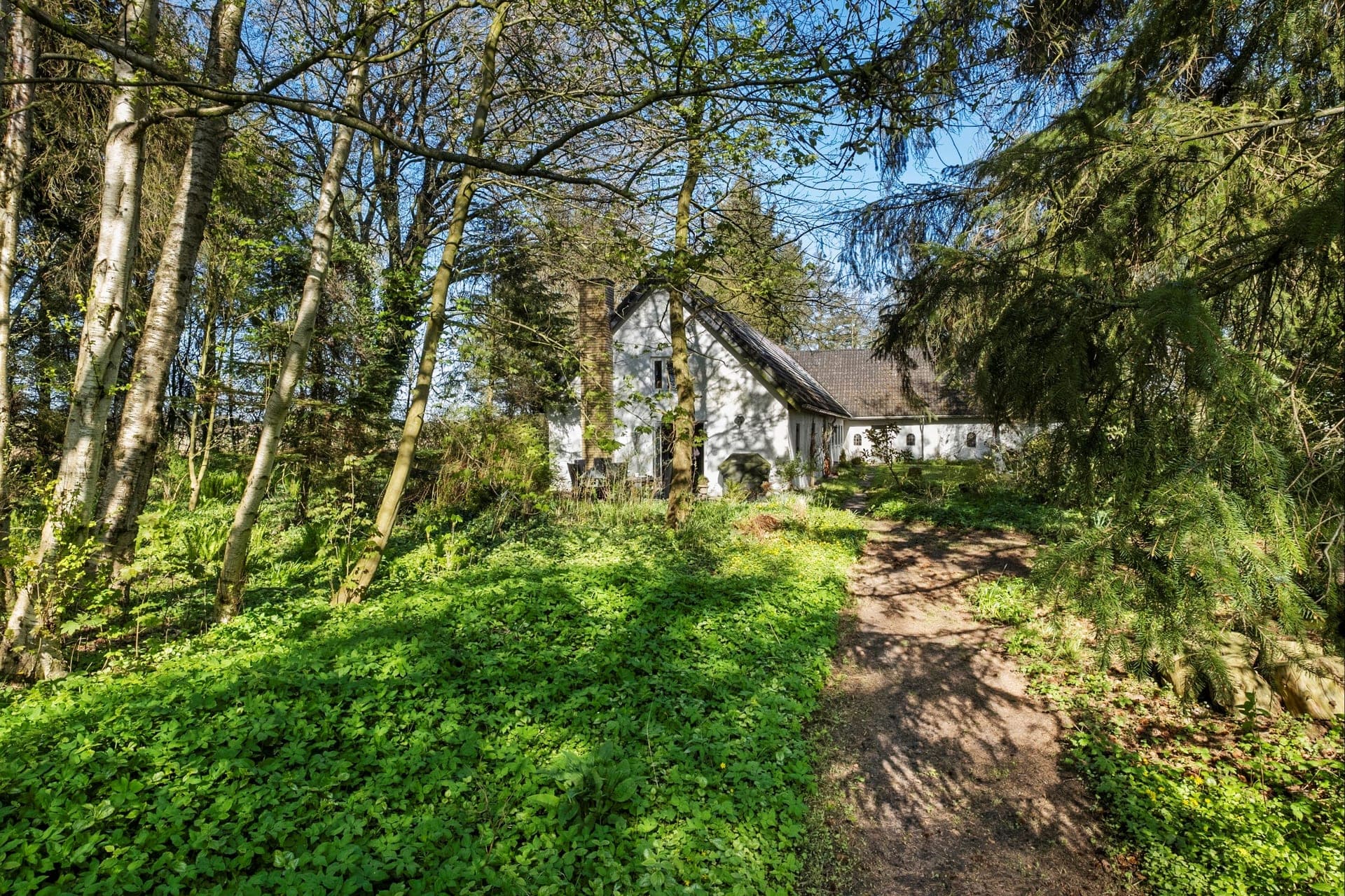 Landsted med egen sø og skov ved Brovst — billede 9