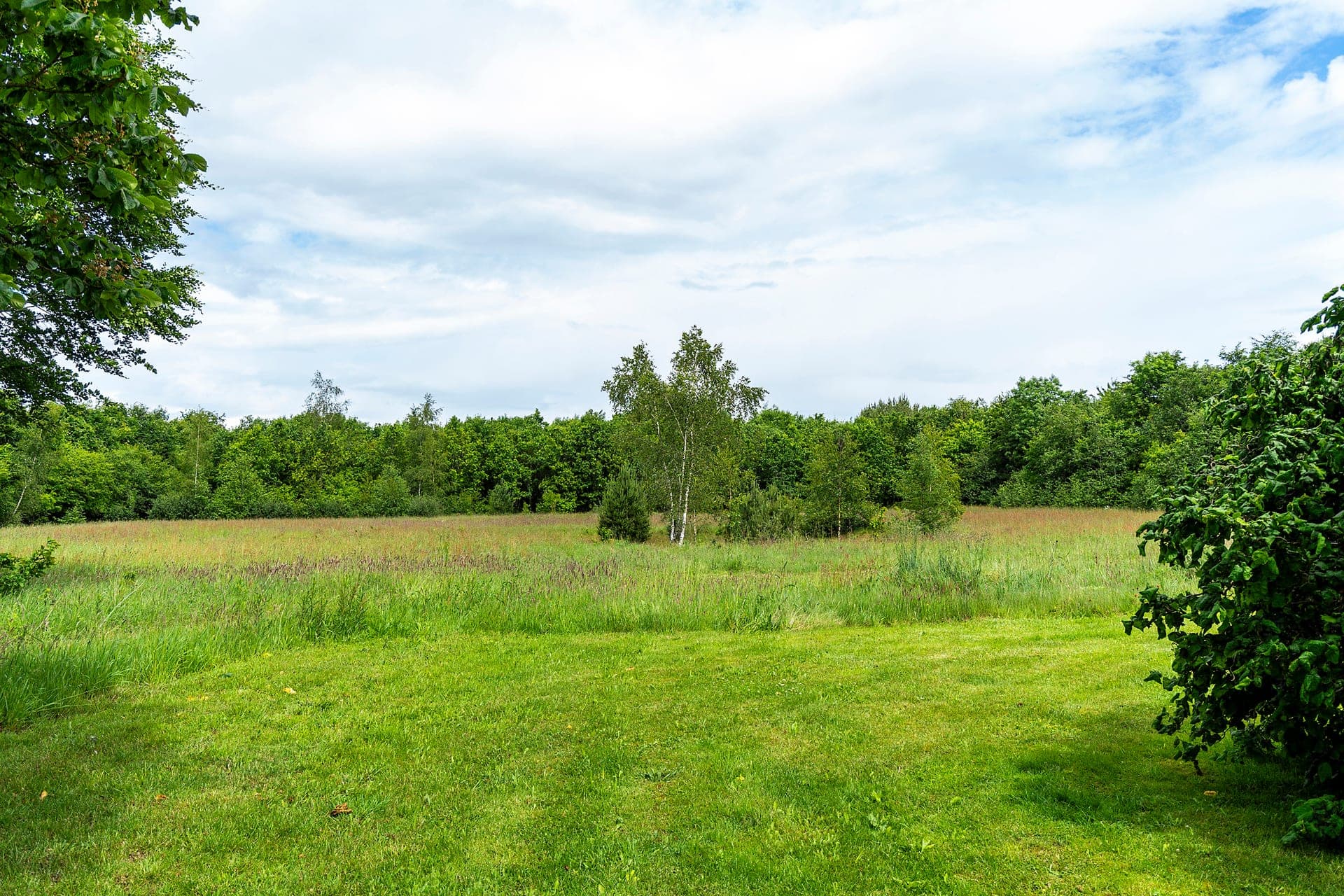 Jagtejendom på 29 ha ved Ejstrupholm — billede 8