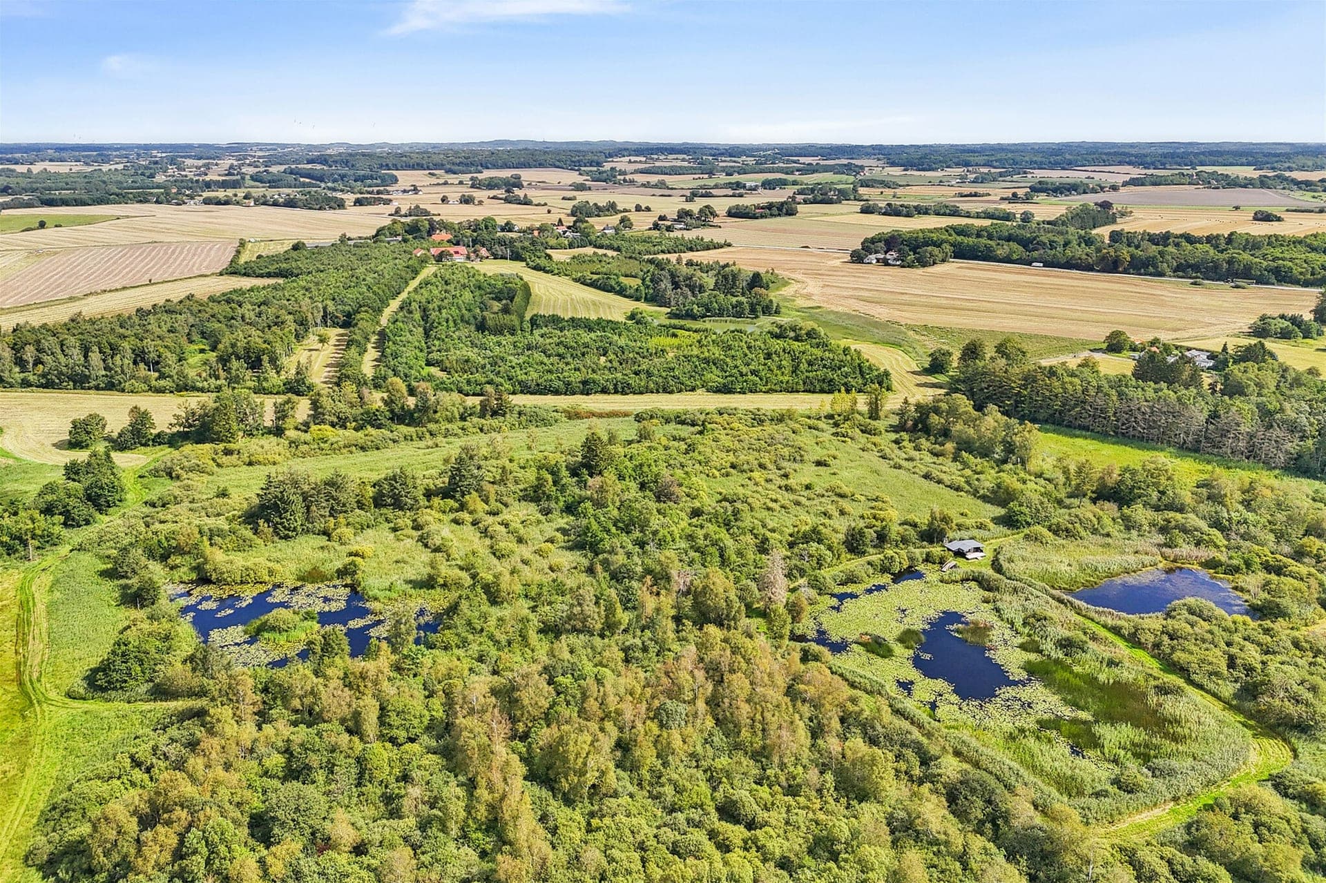 Lillemarksgård mellem Gyrstinge Sø og Haraldsted Sø — billede 5