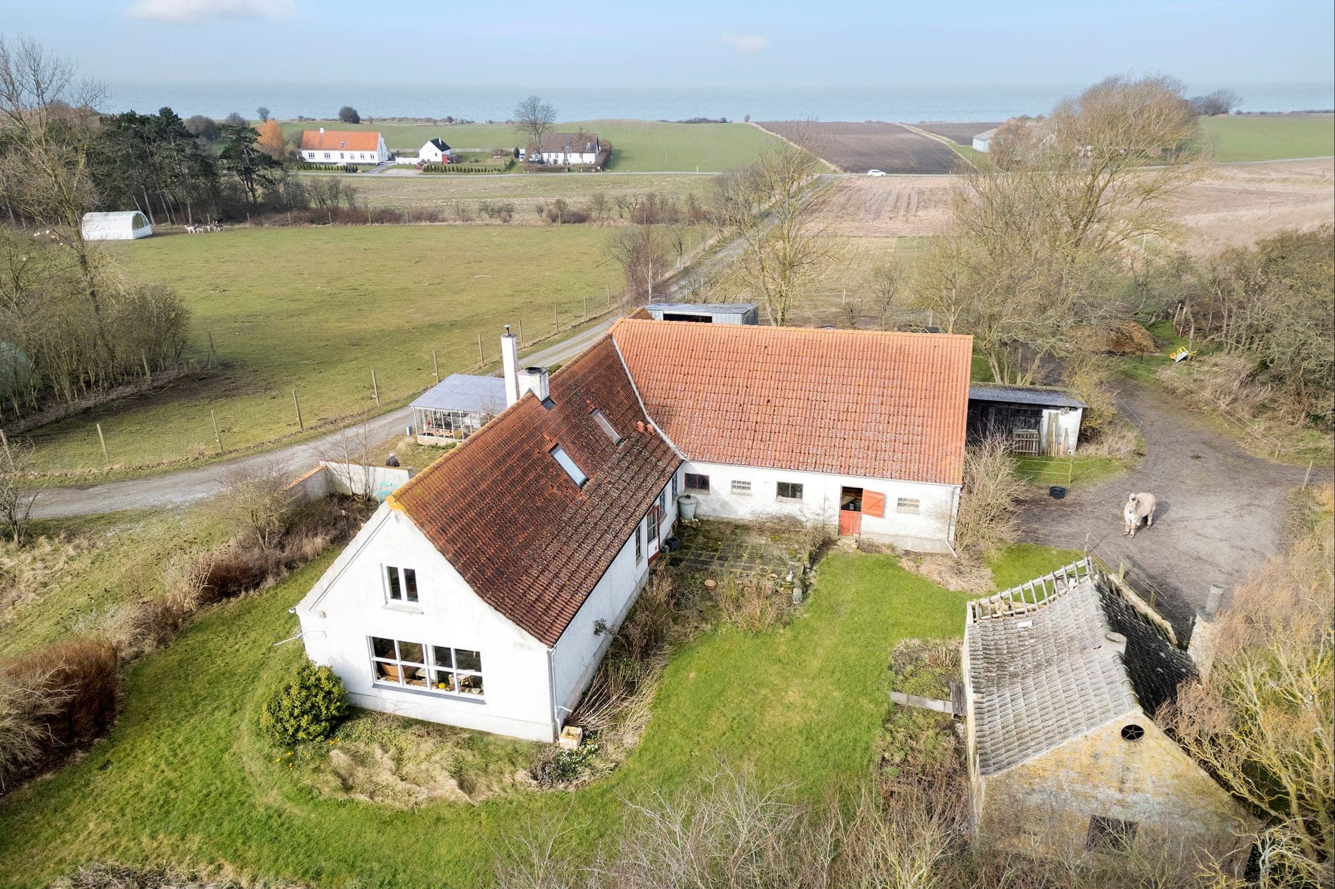 Ø-landejendom med egen skov og sø — billede 5
