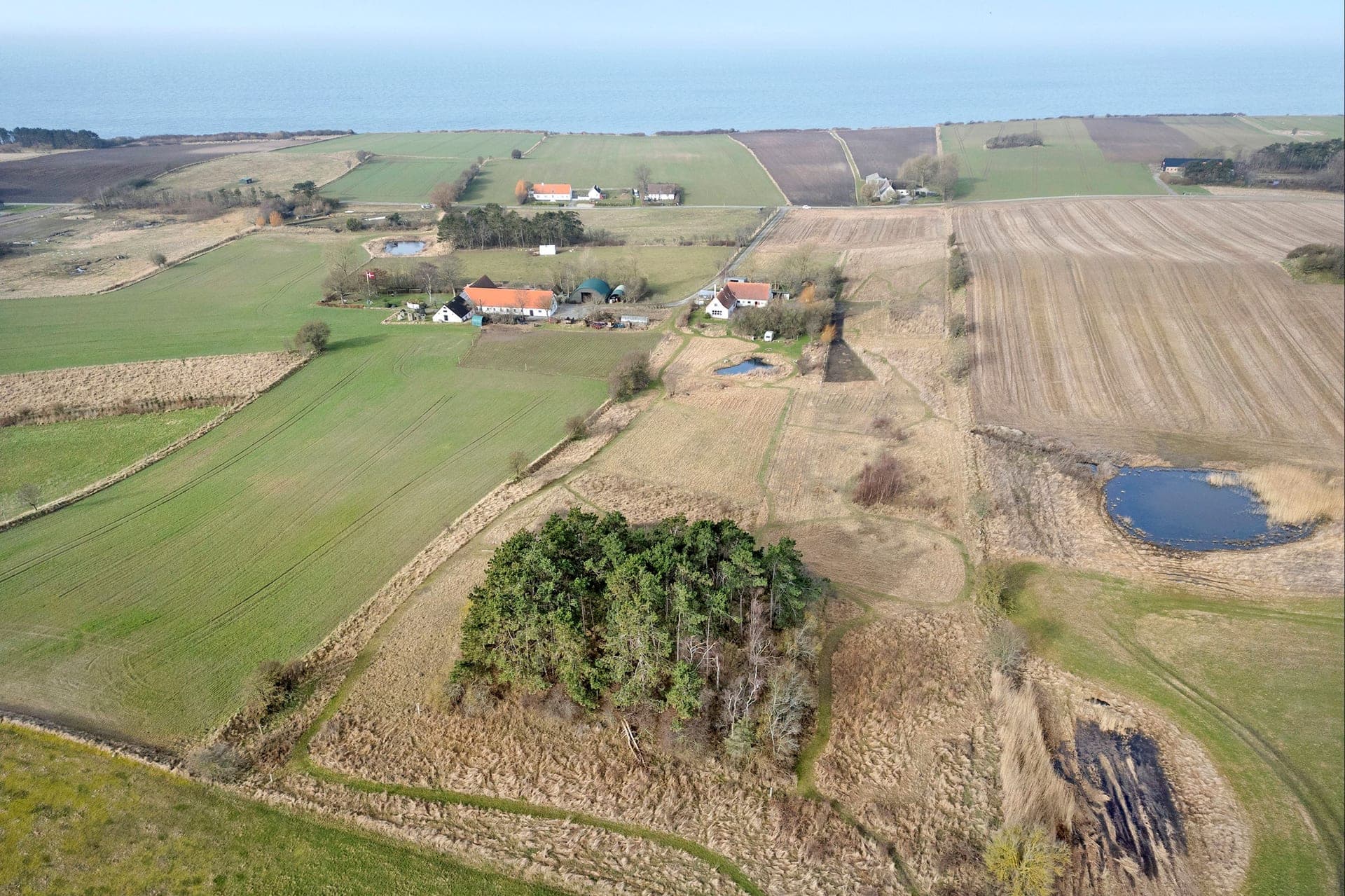 Ø-landejendom med egen skov og sø — billede 6