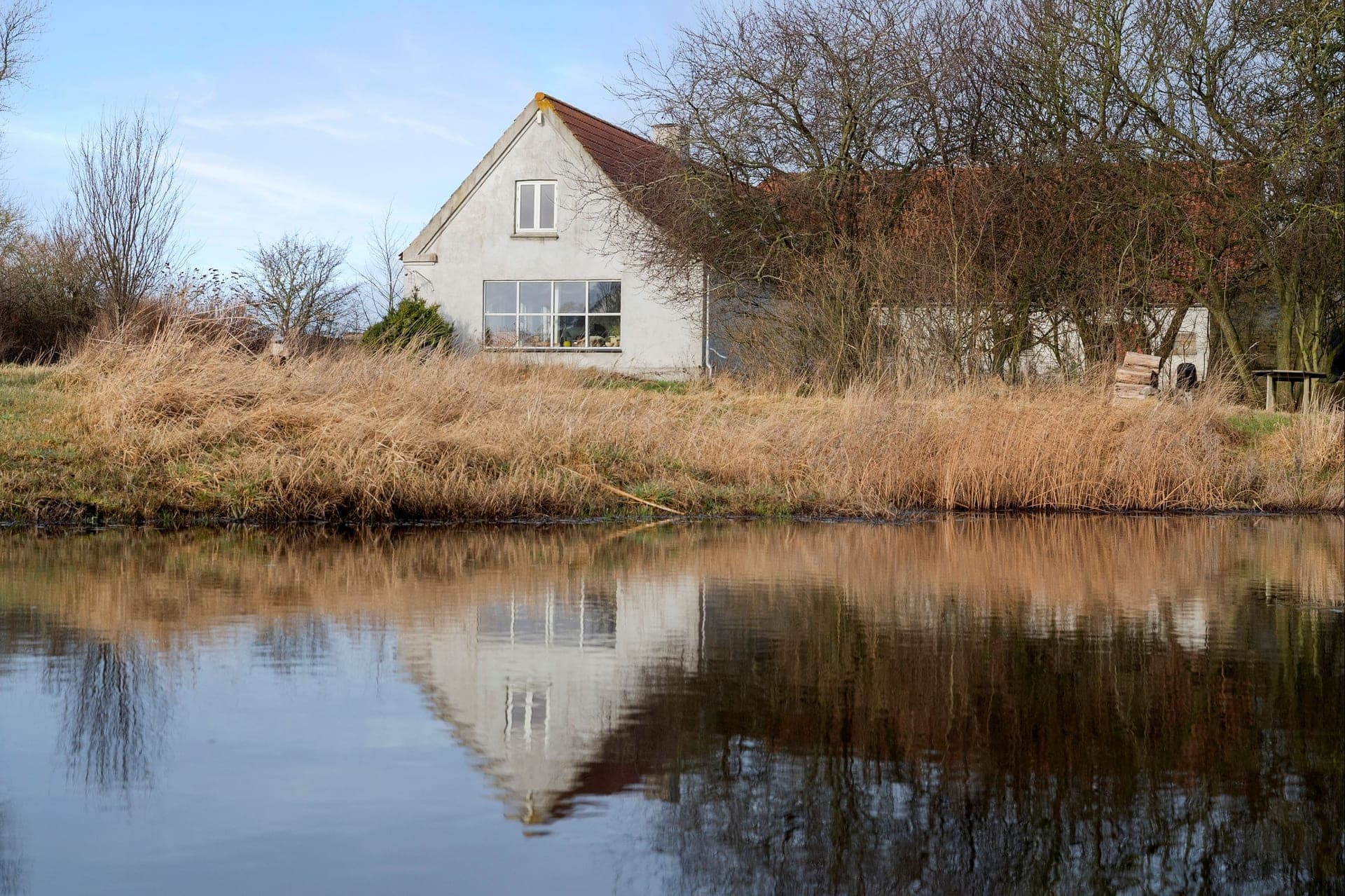 Ø-landejendom med egen skov og sø — billede 7