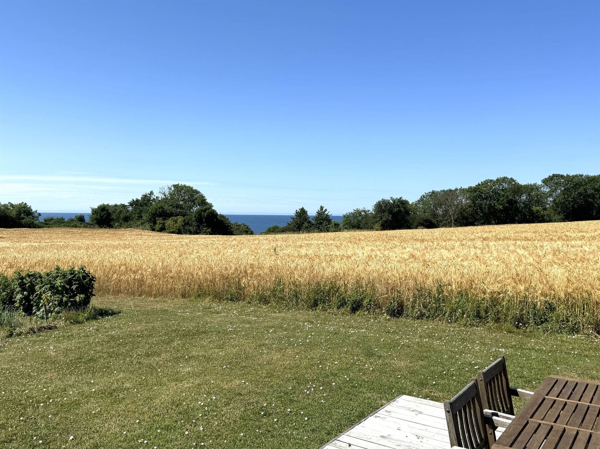 Pæregård i første række til havet på Bornholm — billede 14