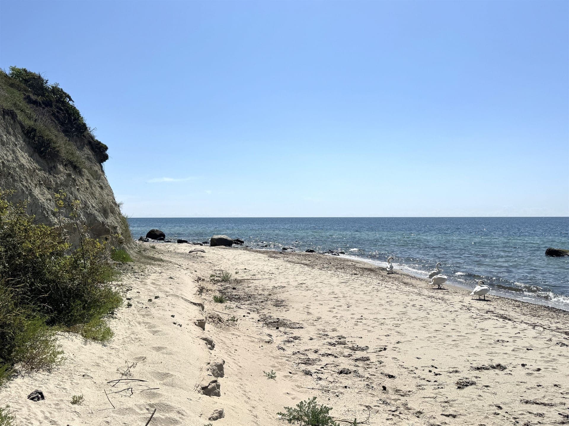 Pæregård i første række til havet på Bornholm — billede 6