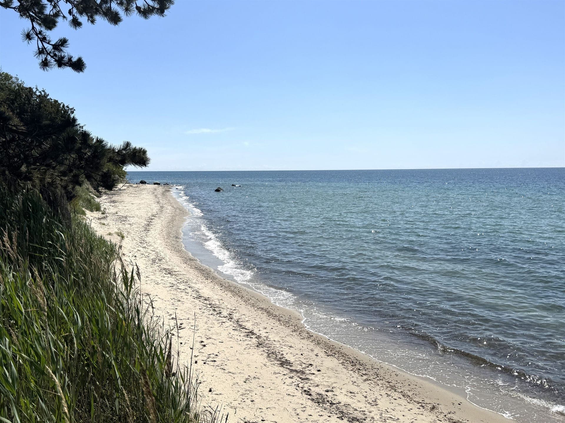 Pæregård i første række til havet på Bornholm — billede 8
