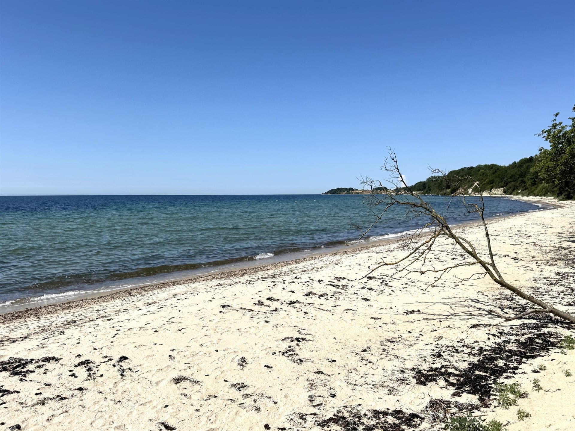 Pæregård i første række til havet på Bornholm — billede 9