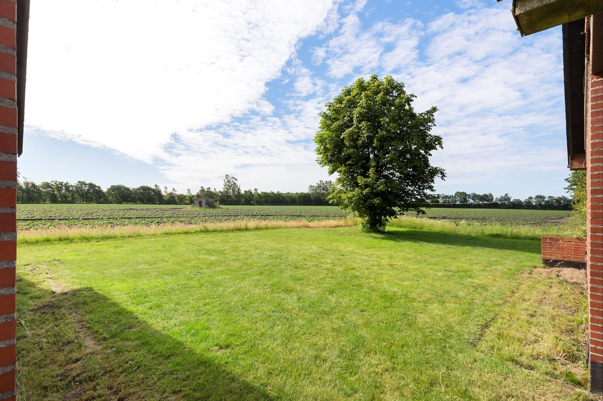 Skov- og jagtejendom bag birkeallé i Vestjylland — billede 11