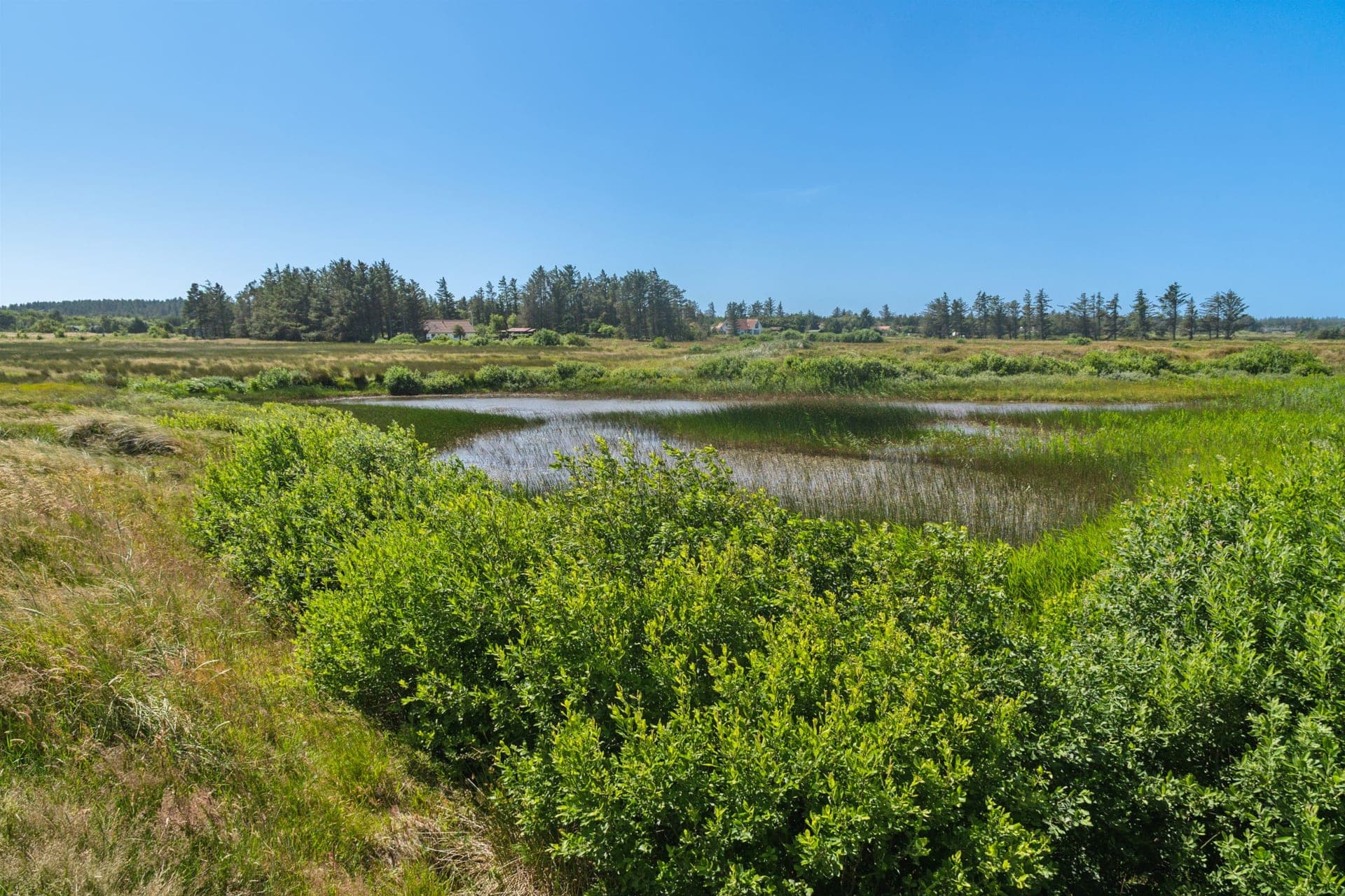 Vestkysthus ved Thorup Strand med egen sø og havudsigt — billede 7