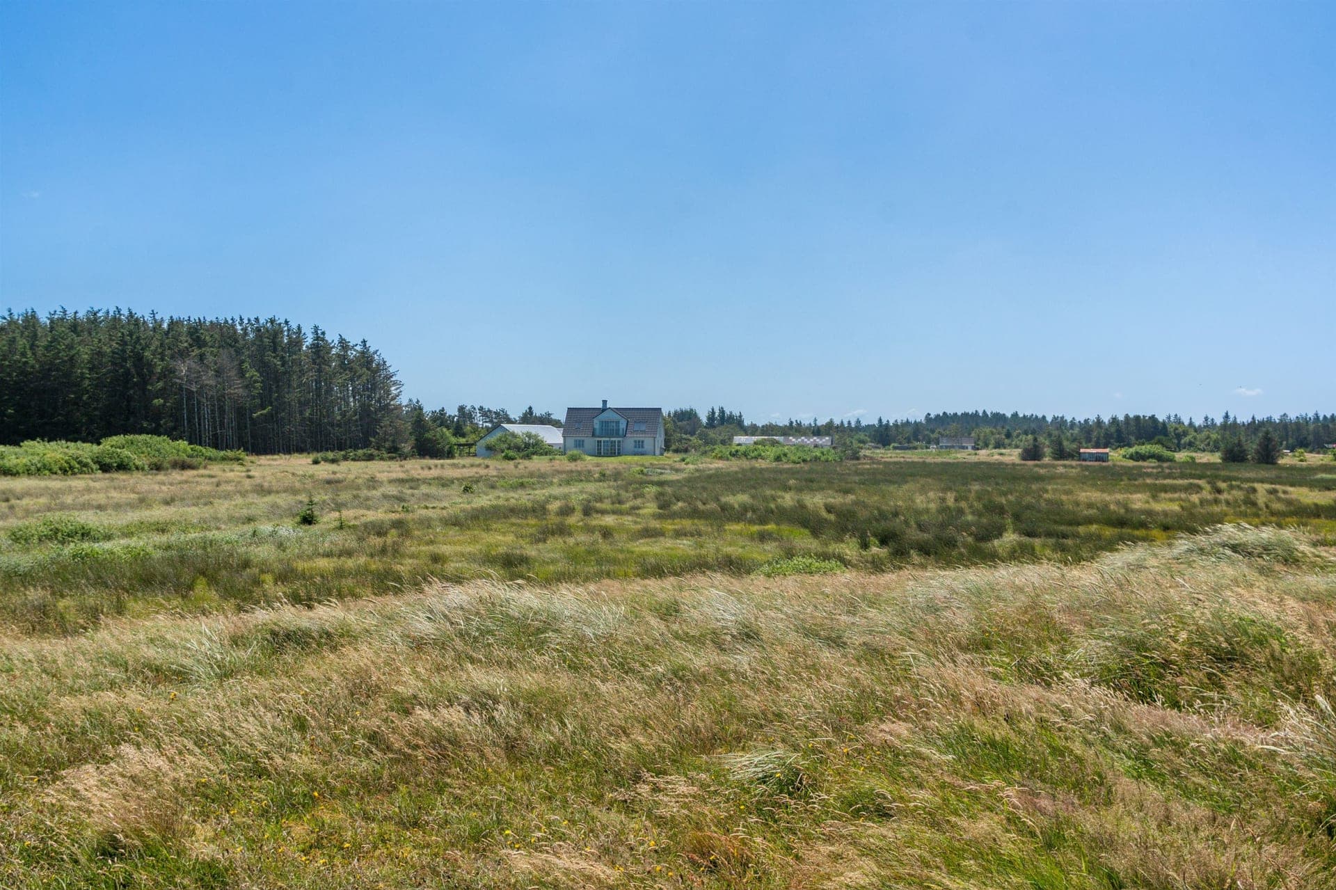 Vestkysthus ved Thorup Strand med egen sø og havudsigt — billede 8